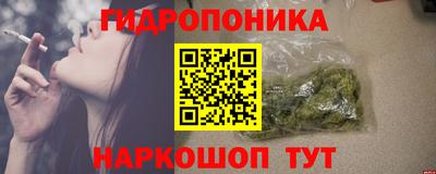 шишки Краснодар