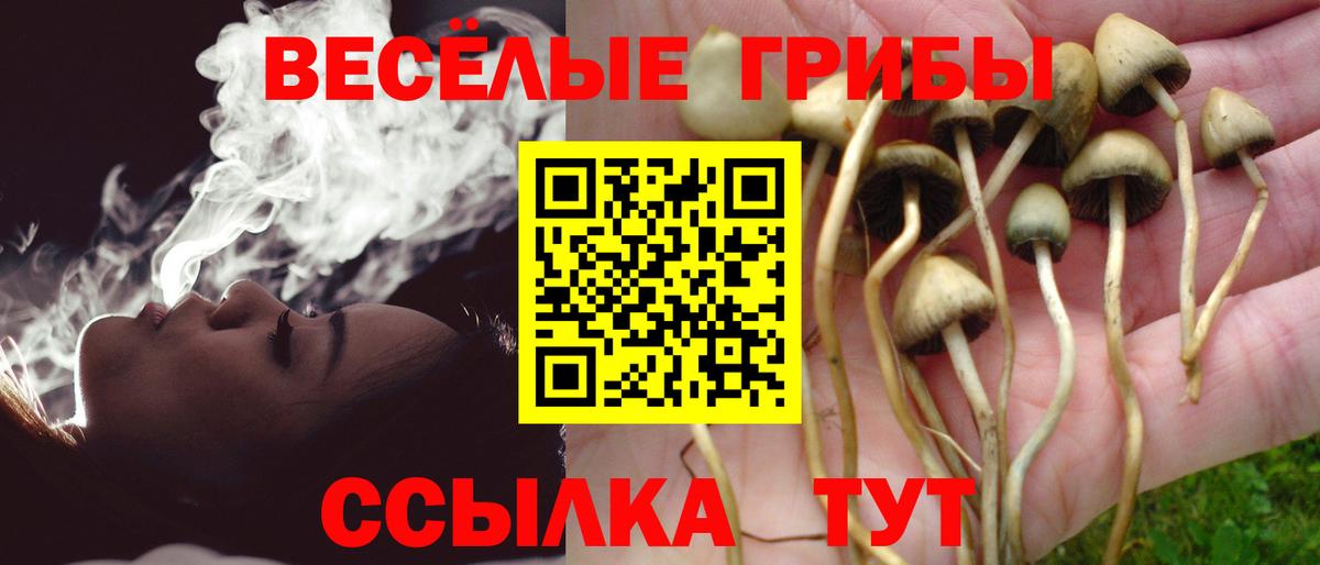 Галлюциногенные грибы ЛСД  Галлюциногенные грибы MAGIC MUSHROOMS  Вход с VPN  Костомукша 