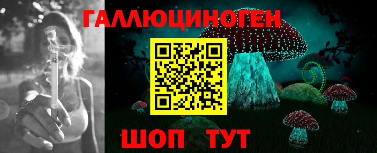 Галлюциногенные грибы мухоморы Костомукша